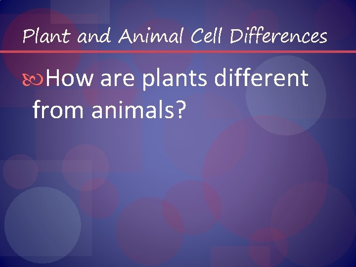 Plant and Animal Cell Differences How are plants different from animals? 