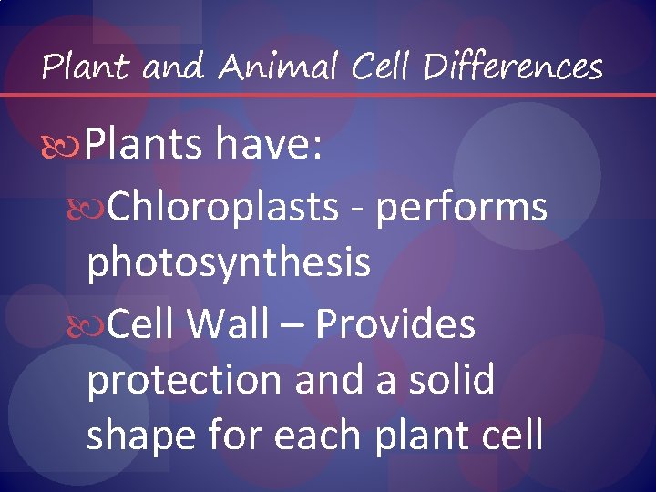 Plant and Animal Cell Differences Plants have: Chloroplasts - performs photosynthesis Cell Wall –