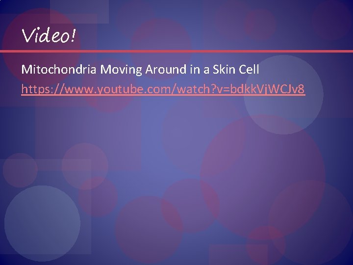 Video! Mitochondria Moving Around in a Skin Cell https: //www. youtube. com/watch? v=bdkk. Vj.