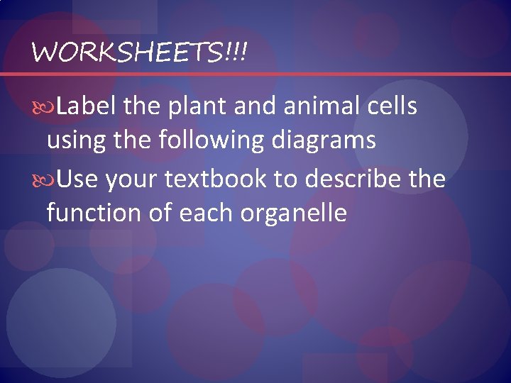 WORKSHEETS!!! Label the plant and animal cells using the following diagrams Use your textbook