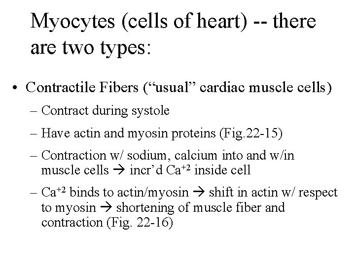 Myocytes (cells of heart) -- there are two types: • Contractile Fibers (“usual” cardiac