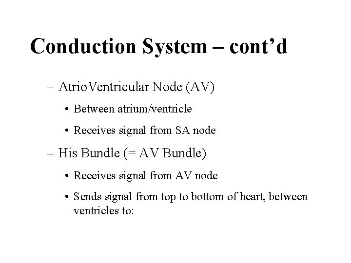 Conduction System – cont’d – Atrio. Ventricular Node (AV) • Between atrium/ventricle • Receives