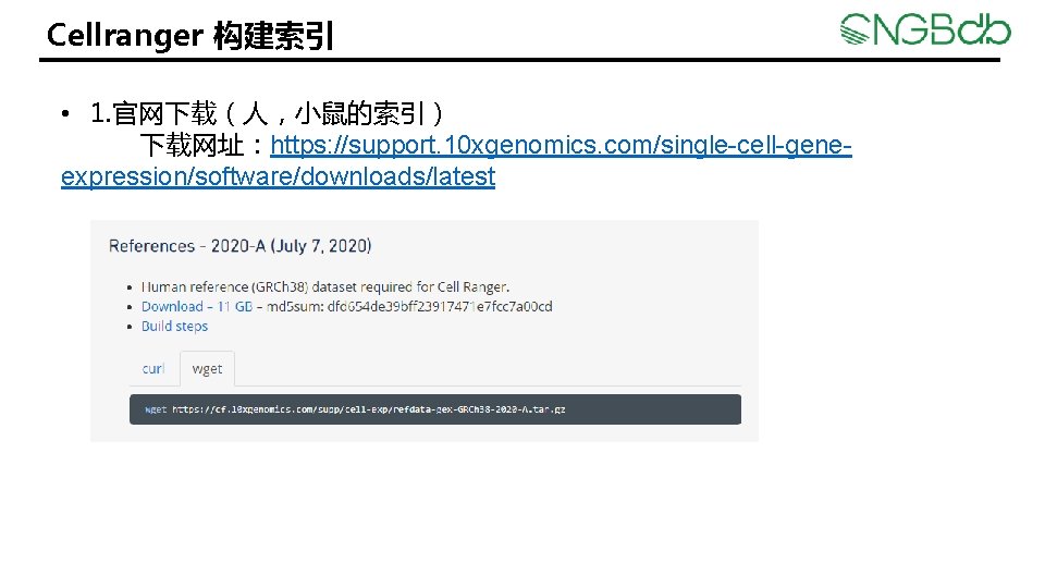 Cellranger 构建索引 • 1. 官网下载（人，小鼠的索引） 下载网址：https: //support. 10 xgenomics. com/single-cell-geneexpression/software/downloads/latest 