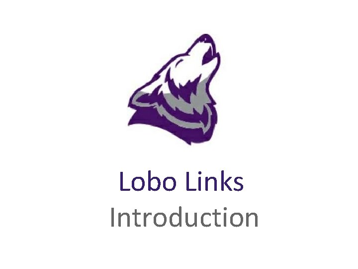 Lobo Links Introduction 