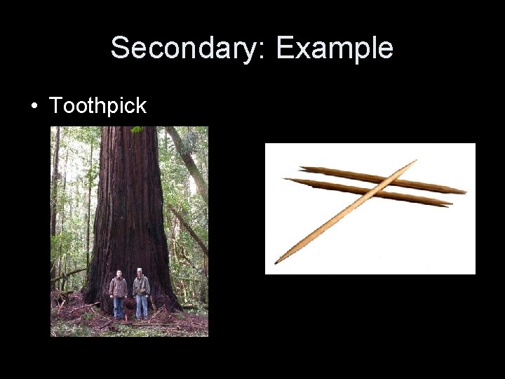Secondary: Example • Toothpick 