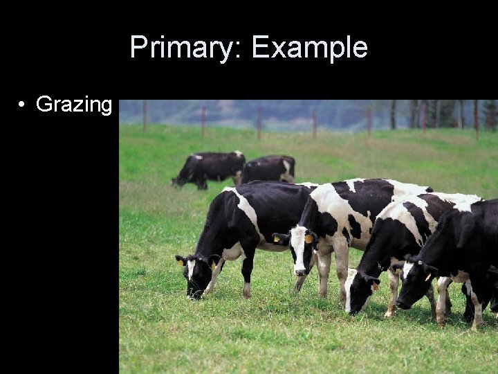 Primary: Example • Grazing 