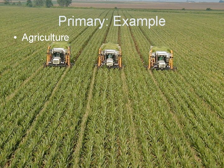 Primary: Example • Agriculture 