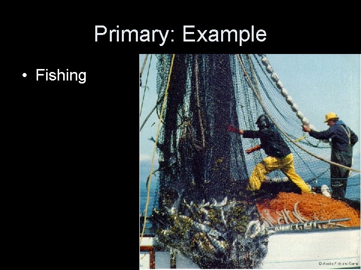 Primary: Example • Fishing 