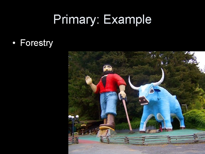 Primary: Example • Forestry 