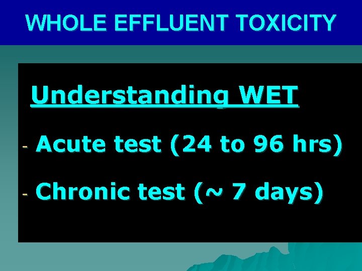 WHOLE EFFLUENT TOXICITY Understanding WET - Acute test (24 to 96 hrs) - Chronic