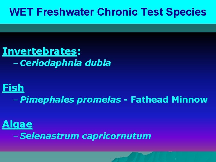 WET Freshwater Chronic Test Species Invertebrates: – Ceriodaphnia dubia Fish – Pimephales promelas -