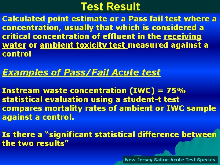 Test Result Calculated point estimate or a Pass fail test where a concentration, usually