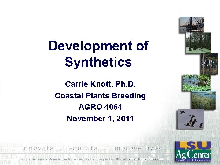 Development of Synthetics Carrie Knott, Ph. D. Coastal Plants Breeding AGRO 4064 November 1,