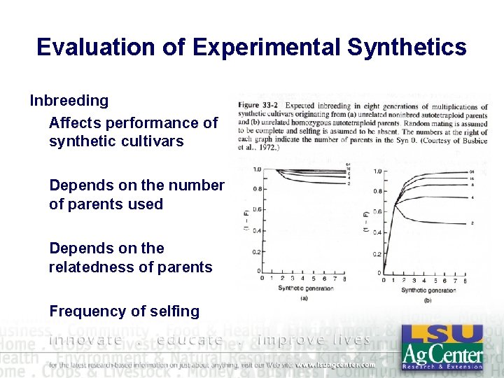 Evaluation of Experimental Synthetics Inbreeding Affects performance of synthetic cultivars Depends on the number