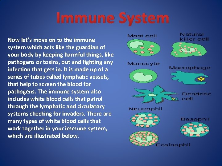 Immune System Now let's move on to the immune system which acts like the