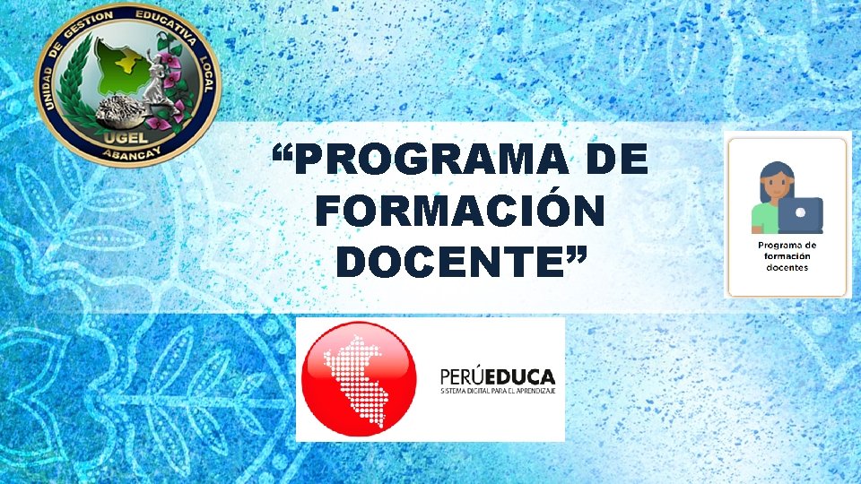 “PROGRAMA DE FORMACIÓN DOCENTE” 