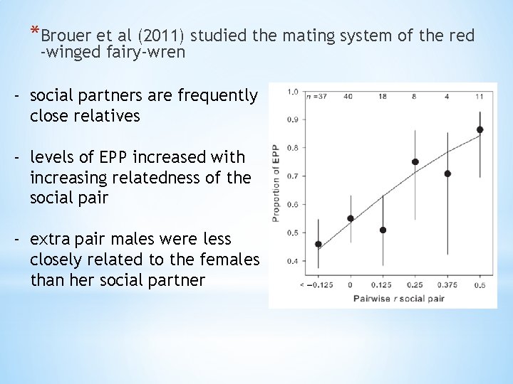 *Brouer et al (2011) studied the mating system of the red -winged fairy-wren -