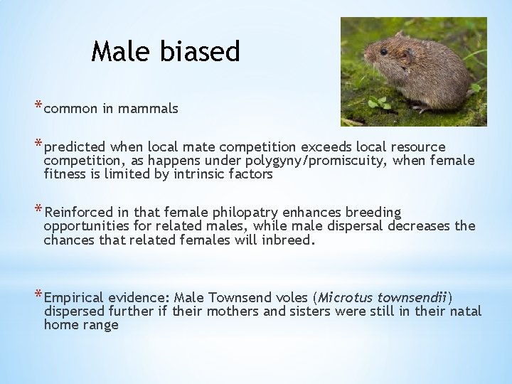 Male biased * common in mammals * predicted when local mate competition exceeds local
