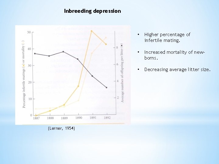 Inbreeding depression (Lerner, 1954) • Higher percentage of infertile mating. • Increased mortality of
