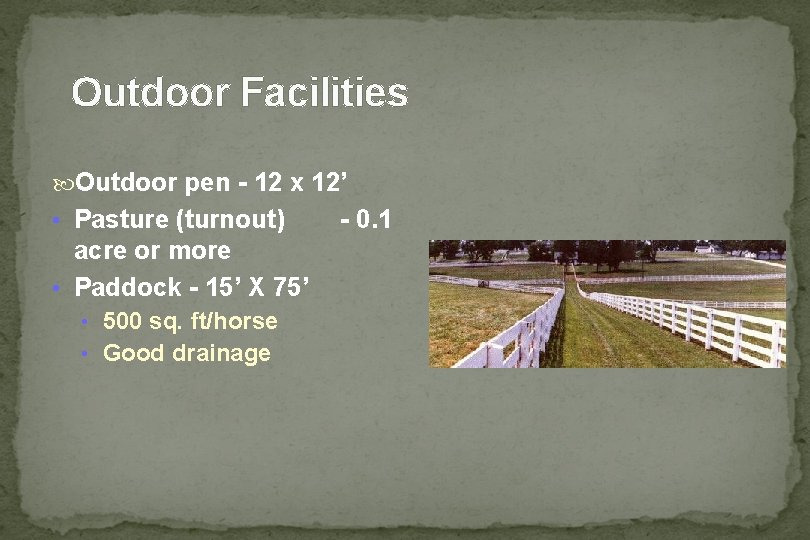 Outdoor Facilities Outdoor pen - 12 x 12’ • Pasture (turnout) acre or more