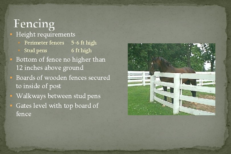 Fencing § Height requirements § Perimeter fences 5 -6 ft high § Stud pens
