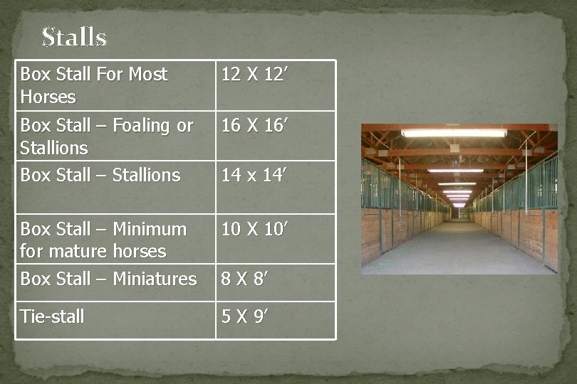 Stalls Box Stall For Most Horses 12 X 12’ Box Stall – Foaling or