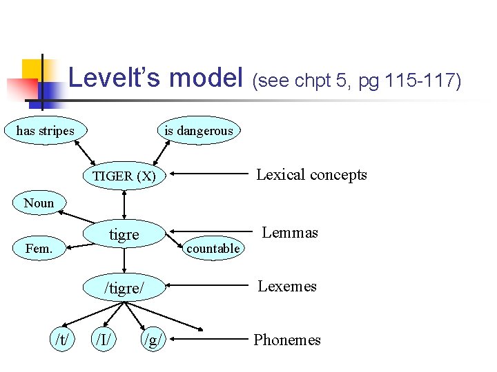 Levelt’s model (see chpt 5, pg 115 -117) has stripes is dangerous Lexical concepts