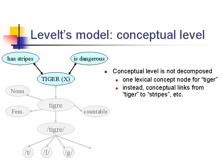 Levelt’s model: conceptual level has stripes is dangerous n TIGER (X) Noun tigre Fem.