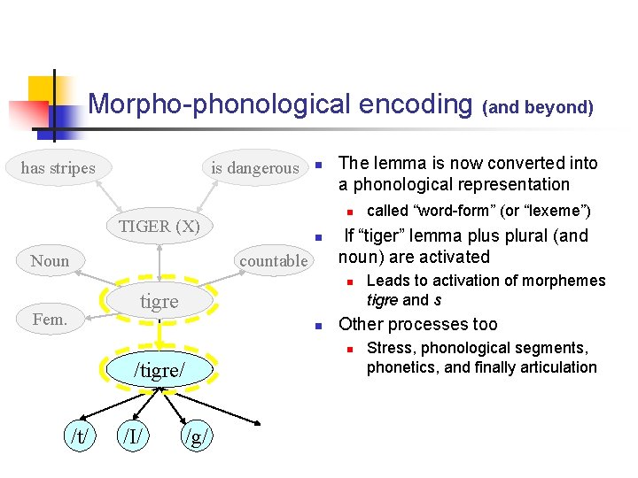 Morpho-phonological encoding (and beyond) has stripes is dangerous The lemma is now converted into