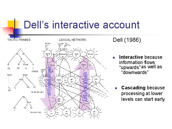 Dell’s interactive account TACTIC FRAMES LEXICAL NETWORK Dell (1986) information n n Interactive because
