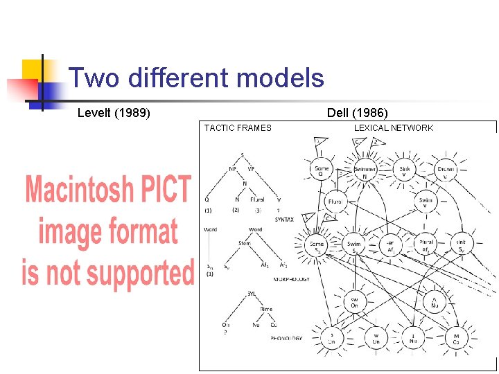 Two different models Levelt (1989) Dell (1986) TACTIC FRAMES LEXICAL NETWORK 