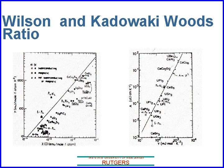 Wilson and Kadowaki Woods Ratio THE STATE UNIVERSITY OF NEW JERSEY RUTGERS 