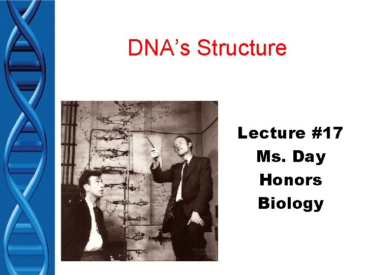 DNA’s Structure Lecture #17 Ms. Day Honors Biology 