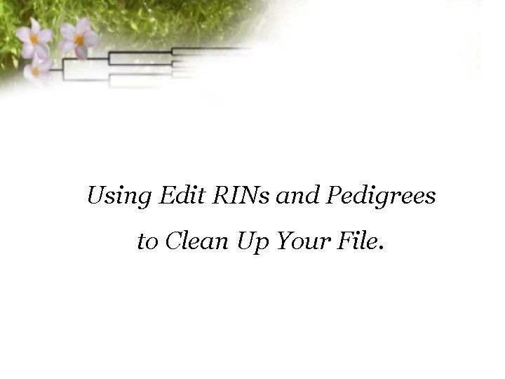 Using Edit RINs and Pedigrees to Clean Up Your File. 