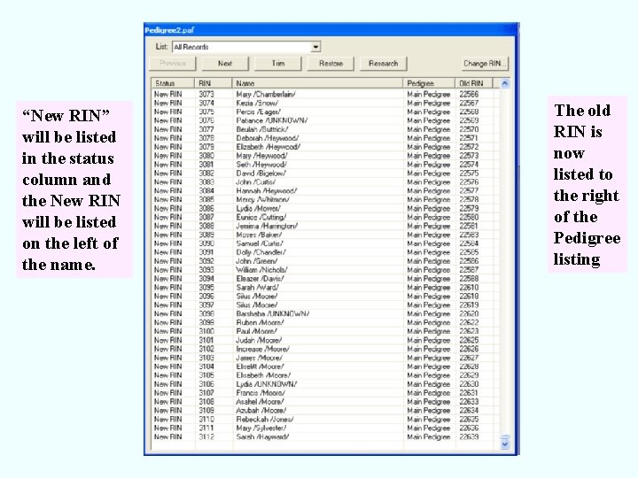 “New RIN” will be listed in the status column and the New RIN will