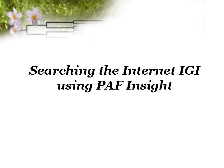 Searching the Internet IGI using PAF Insight 