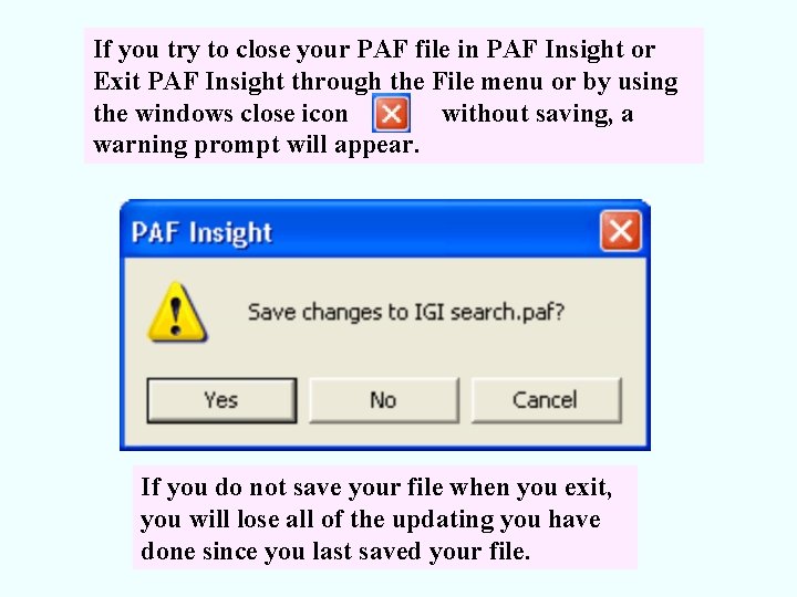 If you try to close your PAF file in PAF Insight or Exit PAF