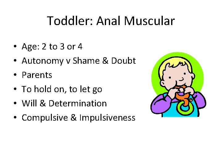Toddler: Anal Muscular • • • Age: 2 to 3 or 4 Autonomy v