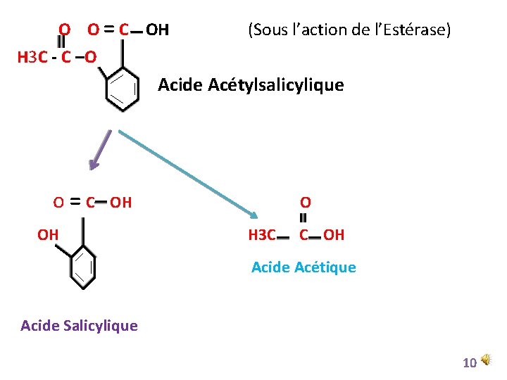 O O = C OH (Sous l’action de l’Estérase) H 3 C - C