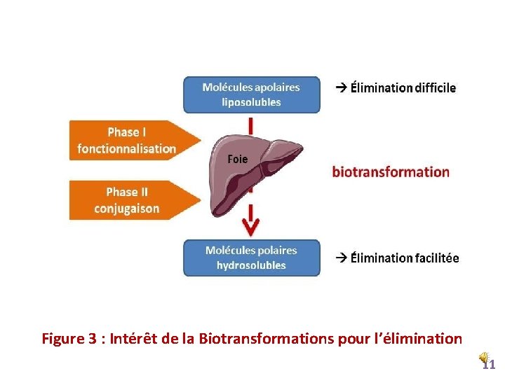 Figure 3 : Intérêt de la Biotransformations pour l’élimination 11 