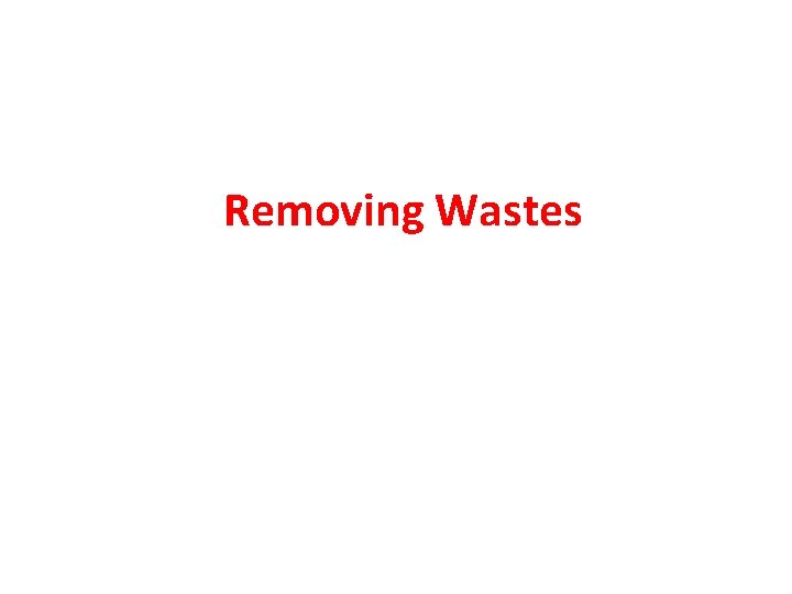 Removing Wastes 