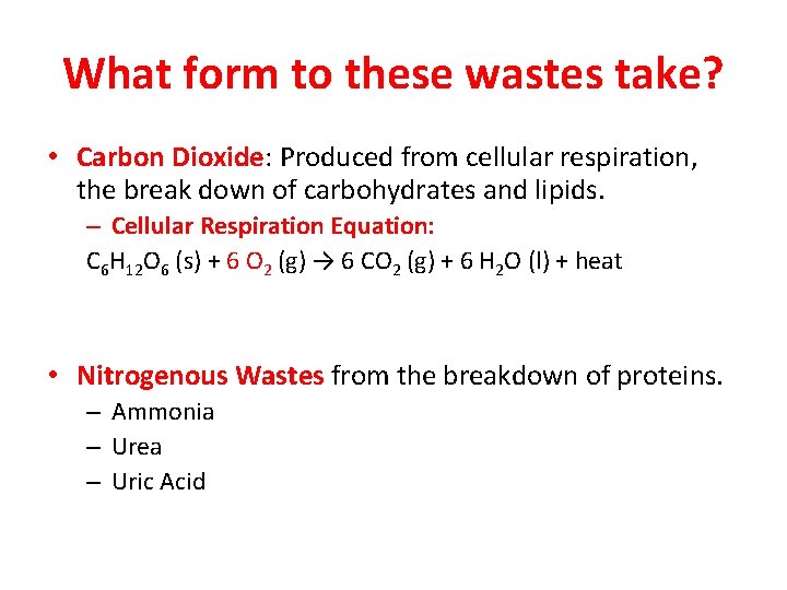 What form to these wastes take? • Carbon Dioxide: Produced from cellular respiration, the