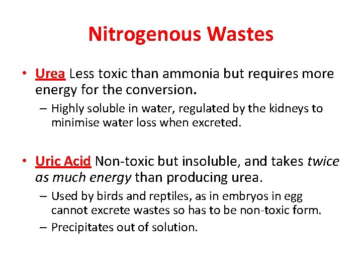 Nitrogenous Wastes • Urea Less toxic than ammonia but requires more energy for the