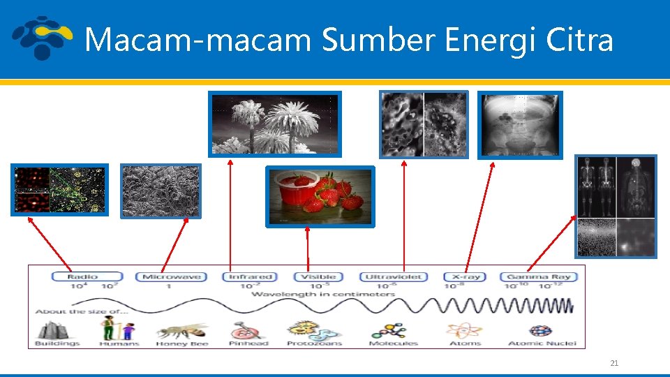 Macam-macam Sumber Energi Citra 21 