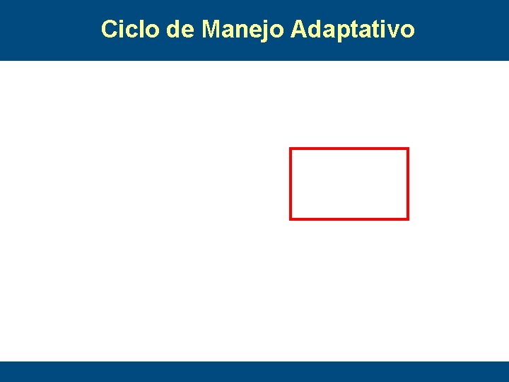 Ciclo de Manejo Adaptativo 