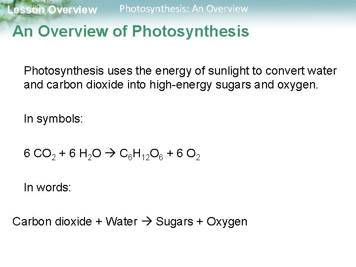 Lesson Overview Photosynthesis: An Overview of Photosynthesis uses the energy of sunlight to convert