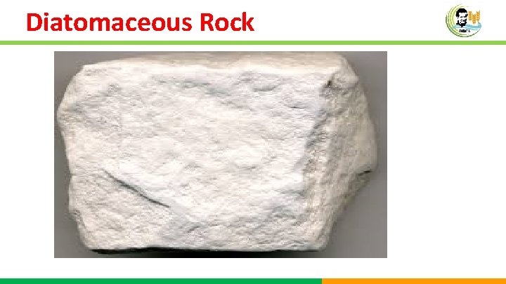 Diatomaceous Rock 