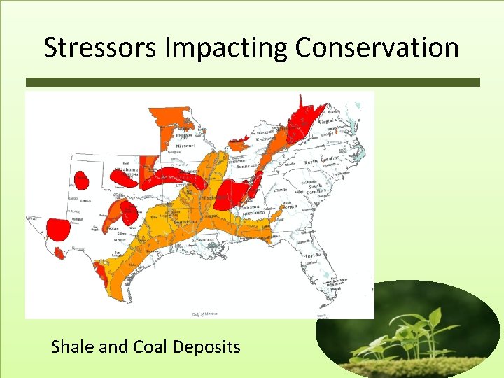Stressors Impacting Conservation Shale and Coal Deposits 