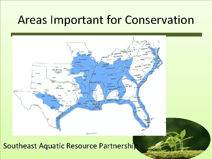 Areas Important for Conservation Southeast Aquatic Resource Partnership 