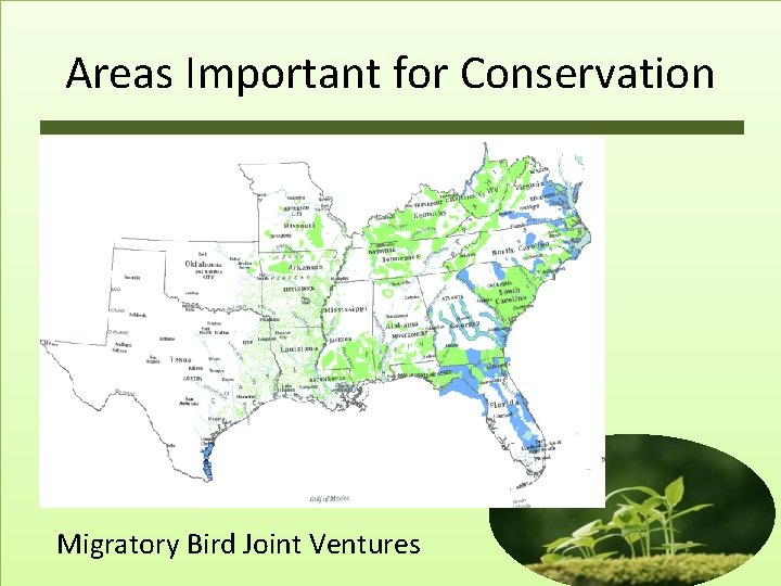 Areas Important for Conservation Migratory Bird Joint Ventures 